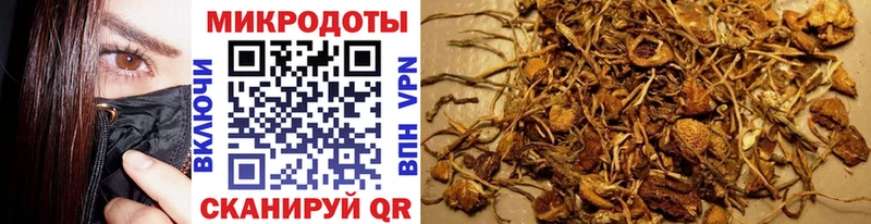 Галлюциногенные грибы прущие грибы  Канаш 