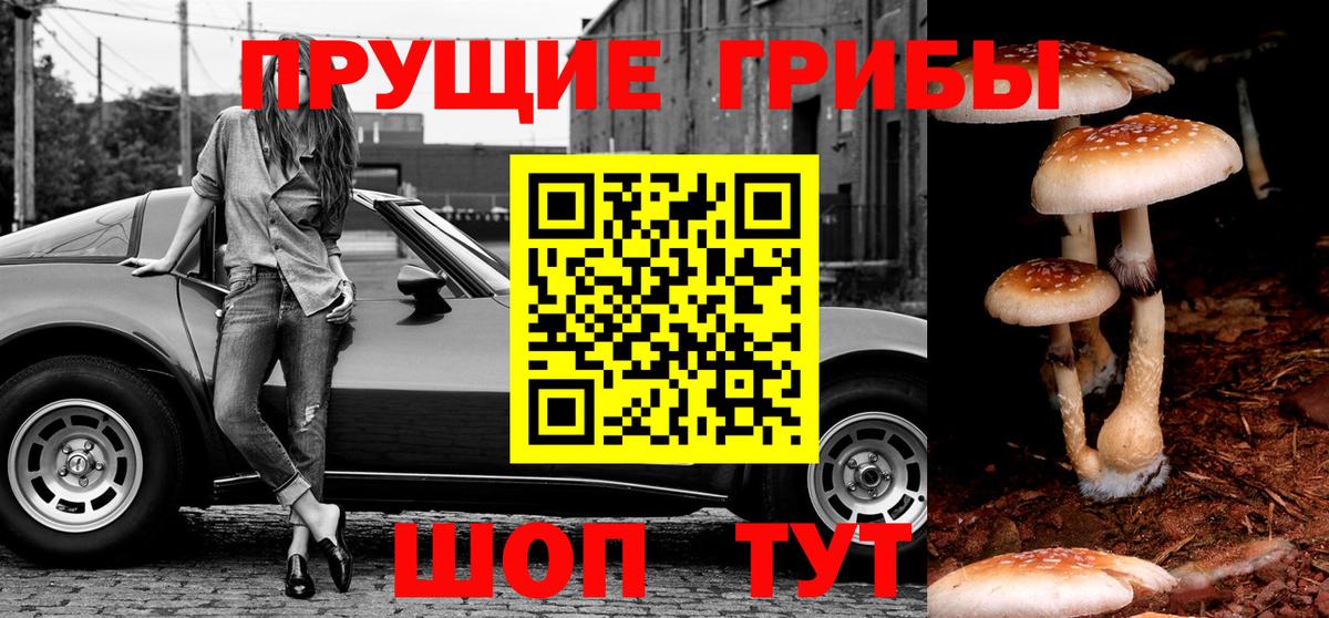 Канаш  Галлюциногенные грибы GOLDEN TEACHER  наркошоп  Вход с VPN  Псилоцибиновые грибы MAGIC MUSHROOMS 